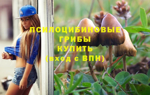 PSILOCYBIN Балахна